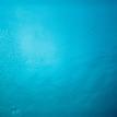 blue hole from 100 feet down
